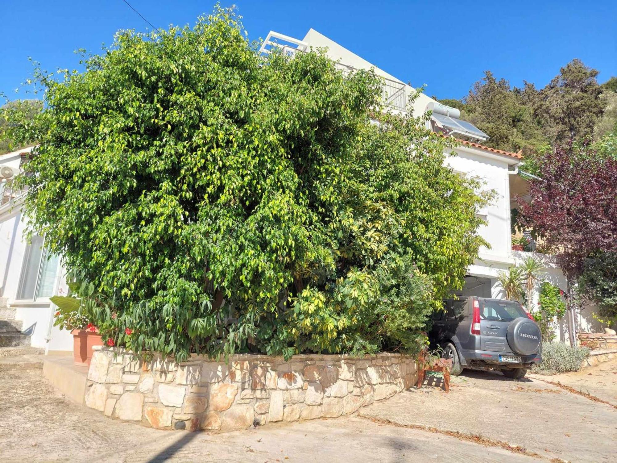 Baso Hilltop Apartments Argászi Kültér fotó